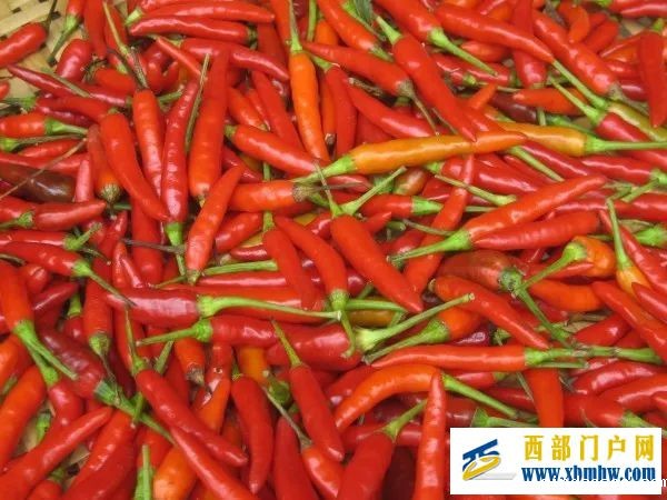 我的家乡—崇左(图19) 我的家乡—崇左(图19)