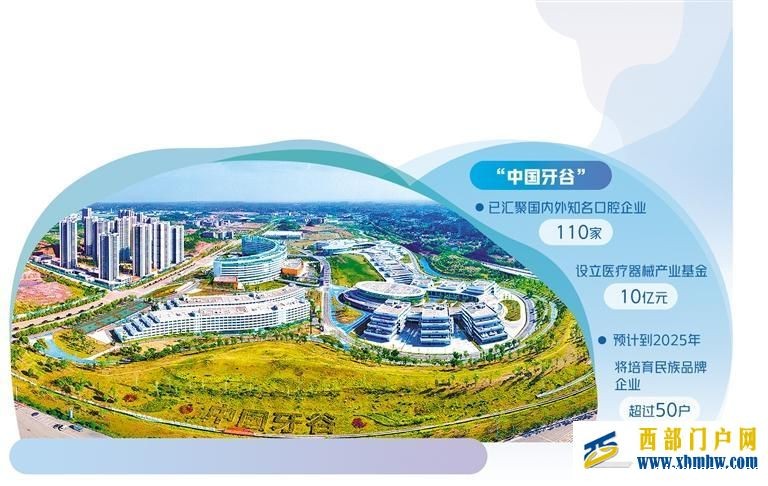 西部崛起口腔产业集群(图1) 西部崛起口腔产业集群(图1)