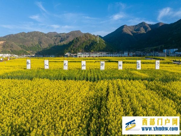 春花盛事,震撼巴山 | 2024最美油菜花海汉中旅游文化节镇巴分会场活动隆重举行(图4) 春花盛事,震撼巴山 | 2024最美油菜花海汉中旅游文化节镇巴分会场活动隆重举行(图4)