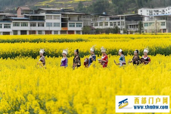 春花盛事,震撼巴山 | 2024最美油菜花海汉中旅游文化节镇巴分会场活动隆重举行(图10) 春花盛事,震撼巴山 | 2024最美油菜花海汉中旅游文化节镇巴分会场活动隆重举行(图10)