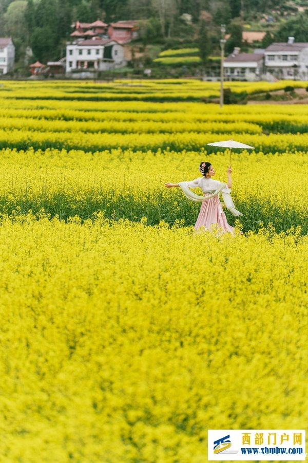 春花盛事,震撼巴山 | 2024最美油菜花海汉中旅游文化节镇巴分会场活动隆重举行(图23) 春花盛事,震撼巴山 | 2024最美油菜花海汉中旅游文化节镇巴分会场活动隆重举行(图23)