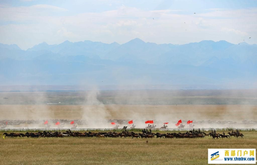 盛夏时节 在新疆昭苏领略万马奔腾(图7) 盛夏时节 在新疆昭苏领略万马奔腾(图7)