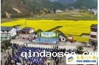 春花盛事，震撼巴山 | 2024最美油菜