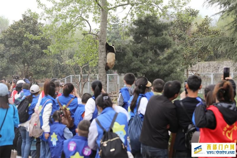 陕西：40名“星星的孩子”畅游西安秦岭野生动物园(图1)